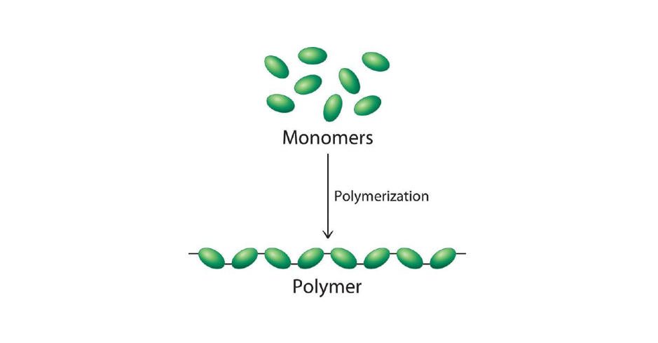 Polymerization Initiator